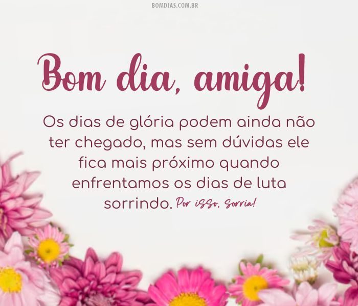 amizade bom dia amiga