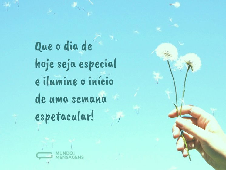 bom dia, boa semana motivação