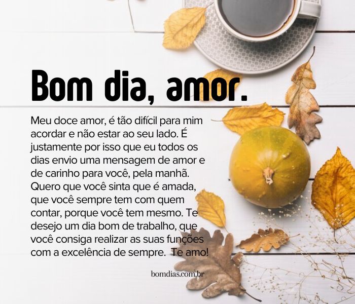 bom dia carinhoso para namorada