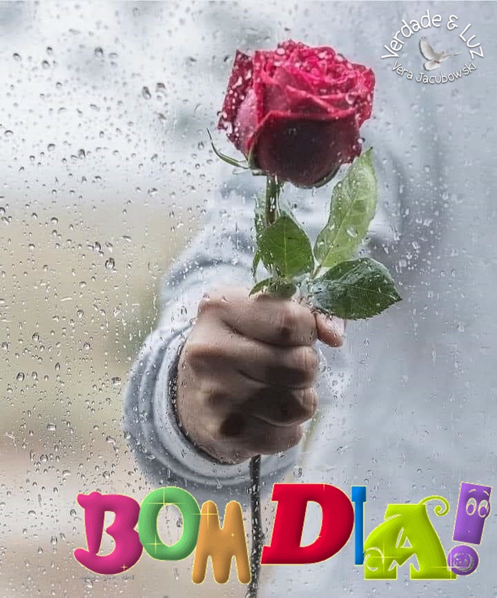 bom dia com rosas
