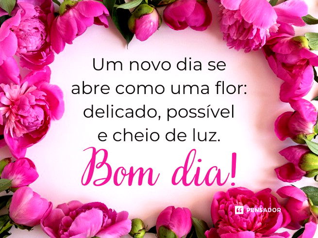 bom dia com rosas