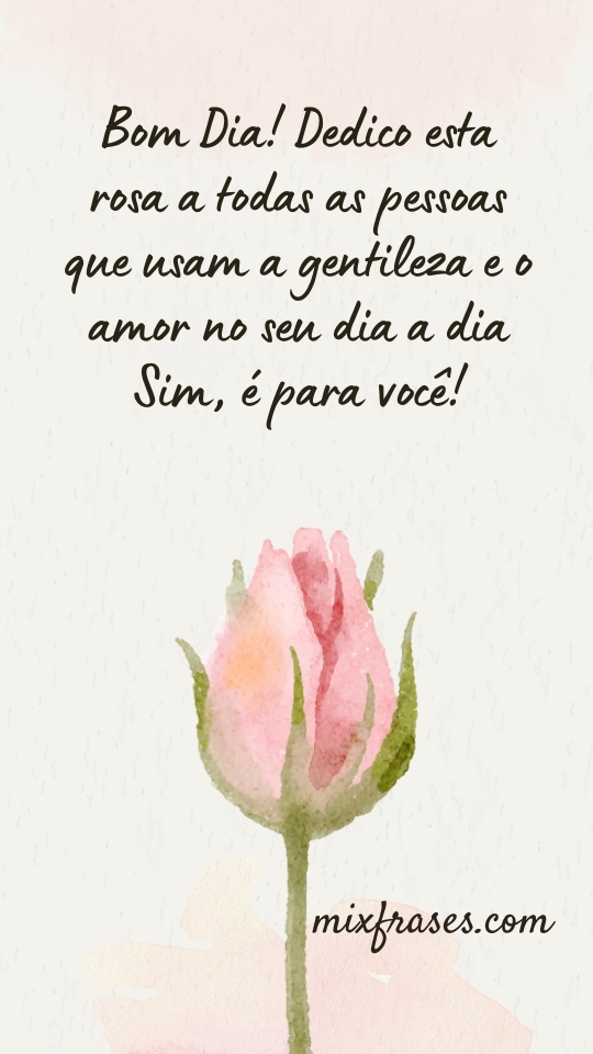 bom dia com rosas