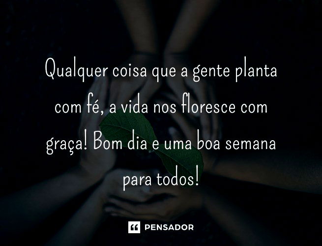 bom dia excelente semana