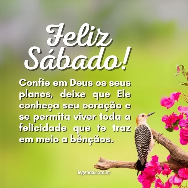5 ideias de títulos:
1. As Melhores Mensagens de Bom Dia para um Sábado Iluminado
2. Como Começar o Sábado com Paz e Gratidão: Frases Inspiradoras
3. Mensagens Religiosas para Abençoar seu Sábado e Final de Semana
4. Dicas para um Sábado Produtivo e Feliz: Mensagens para Motivar
5. Compartilhe Amor e Alegria: Frases de Sábado para WhatsApp