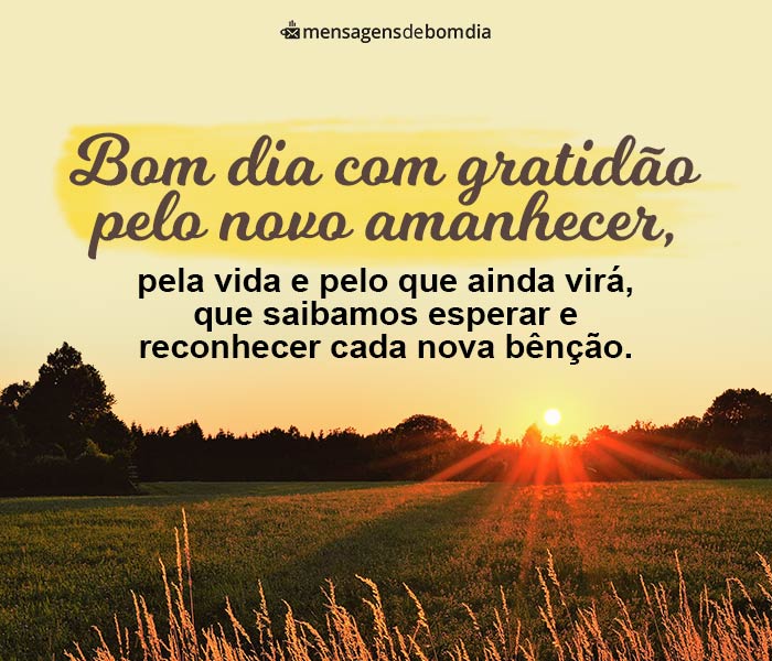 bom dia gratidão pela vida