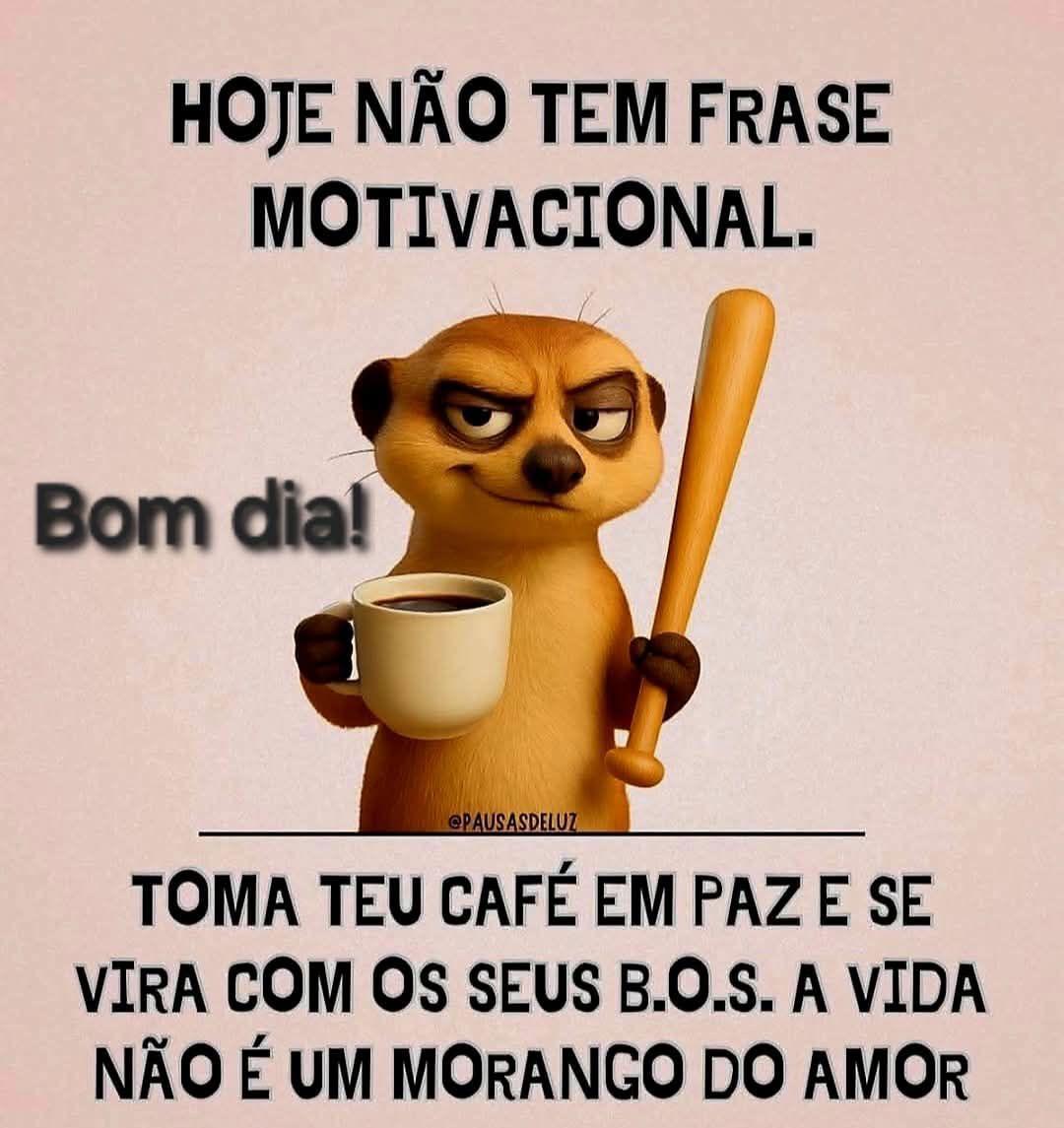 bom dia humor whatsapp