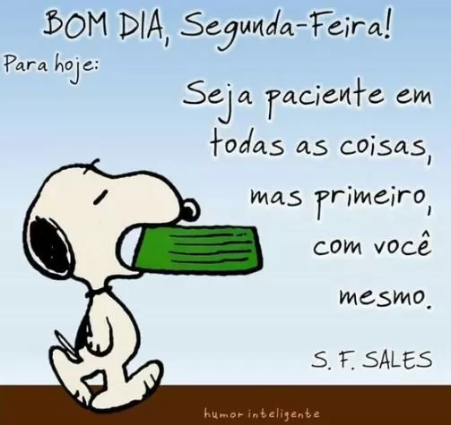 Bom Dia com Humor: As Melhores Frases para Começar o Dia Rindo