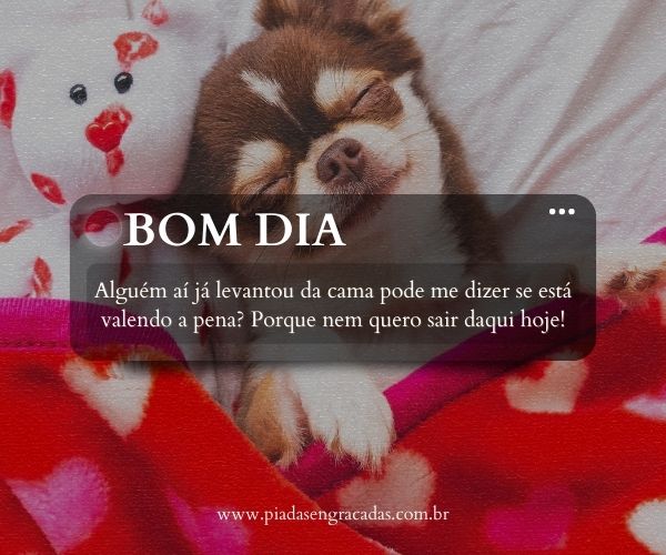 Sticker.ly: Como Baixar e Usar Figurinhas Engraçadas de Bom Dia