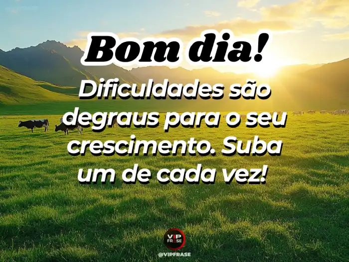bom dia motivação