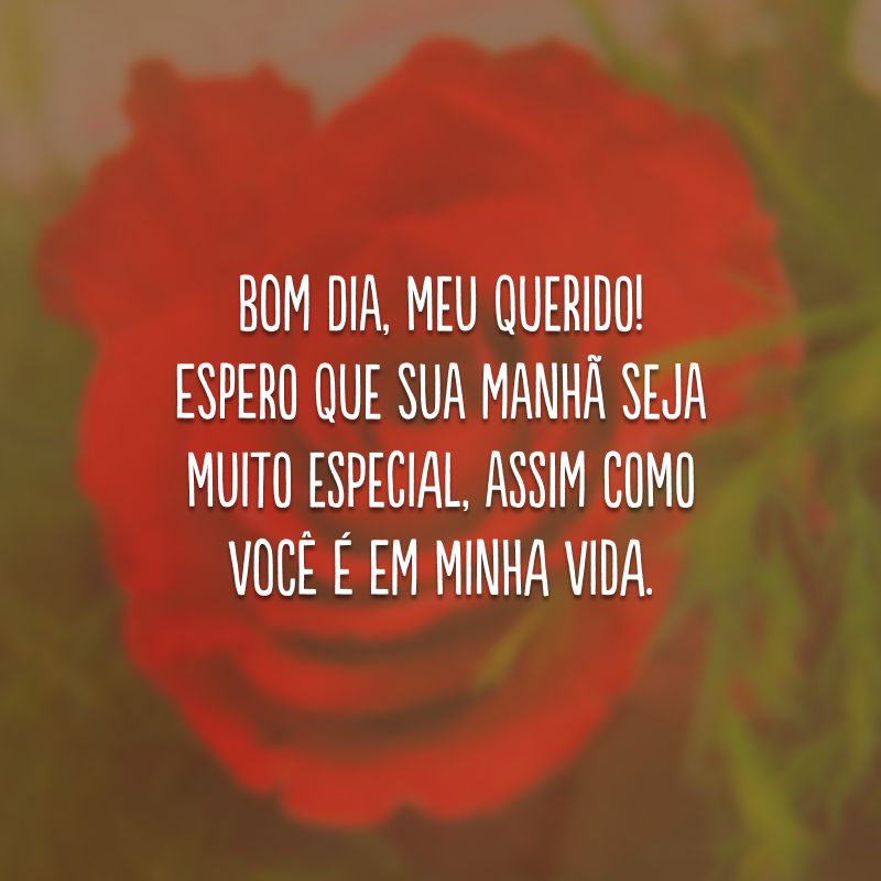 bom dia para namorado