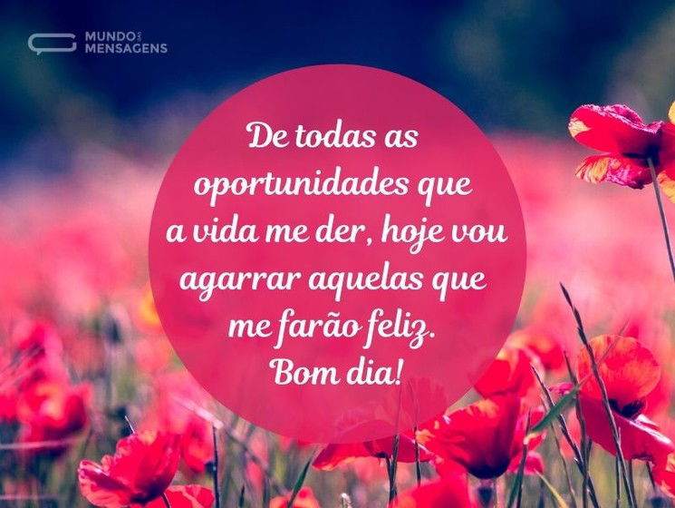 significado da musica bom dia de naiara terra