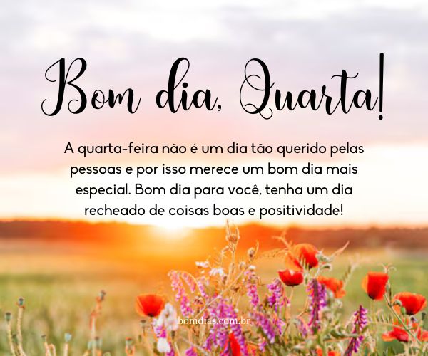 bom dia quarta-feira com carinho