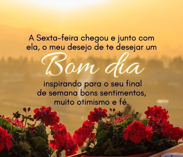 bom dia sexta-feira com carinho
