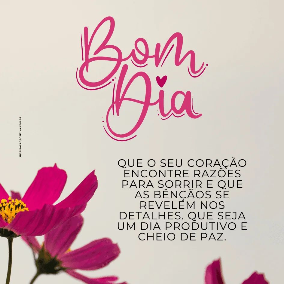 bom dia terça-feira motivação