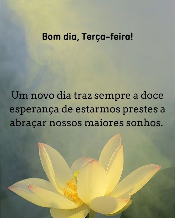 bom dia terça-feira whatsapp