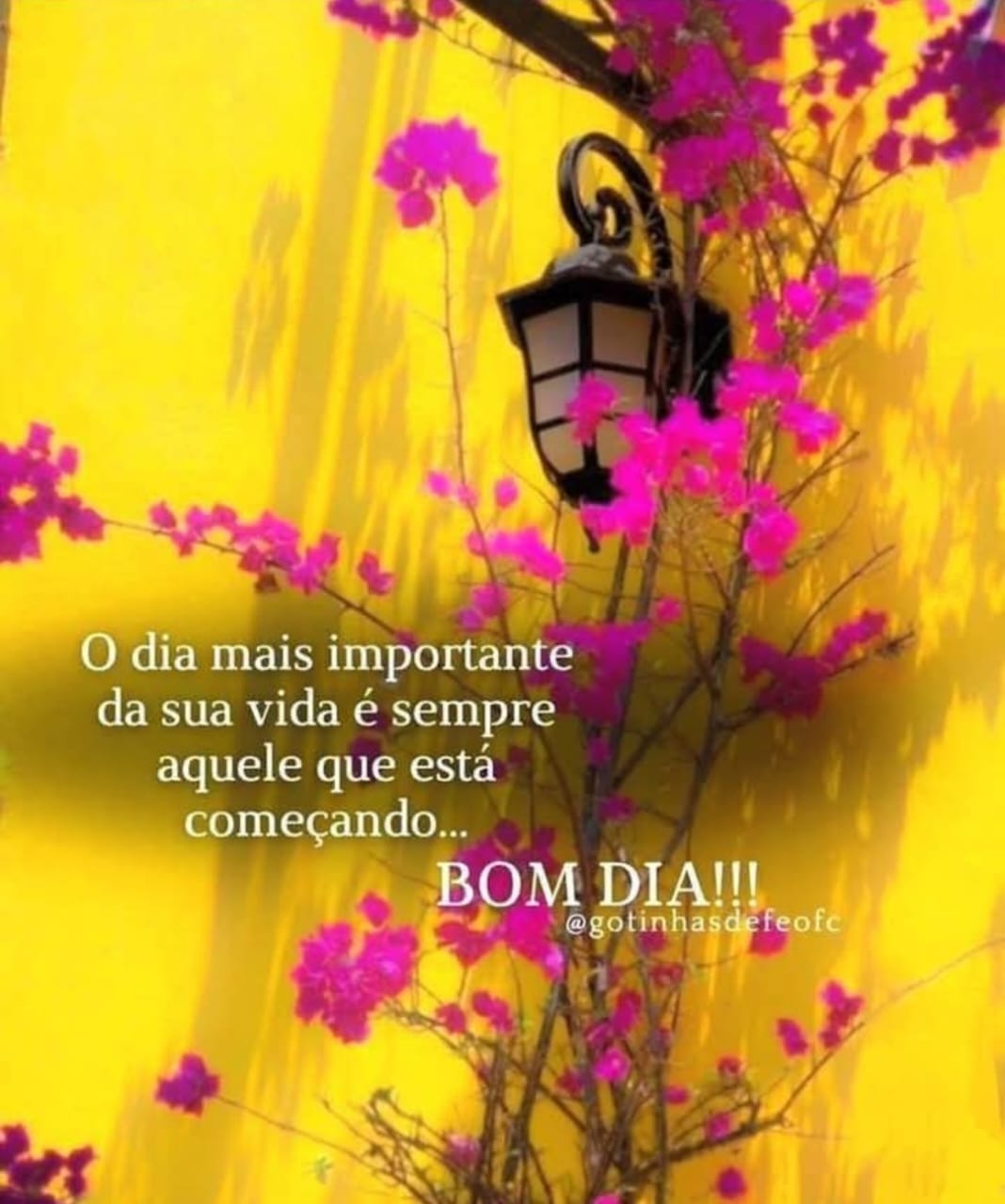 5 ideias de títulos