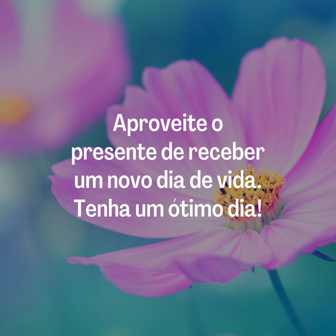 5 ideias de títulos:
1.  Bom Dia: A Arte de Começar o Dia com Positividade e Produtividade
2.  Inspirações Matinais: Frases que Transformam seu Dia
3.  O Poder da Gratidão: Como um Bom Dia Pode Mudar sua Perspectiva
4.  Seja 1% Melhor: Estratégias para um Dia Mais Produtivo
5.  Mensagens de Bom Dia: Um Guia Completo para Espalhar Boas Energias
