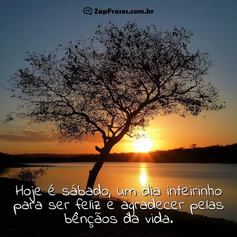 carinho bom dia sabado