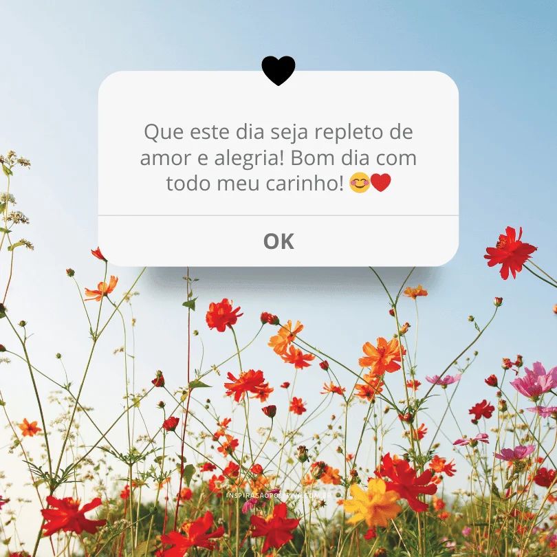 carinho bom dia whatsapp