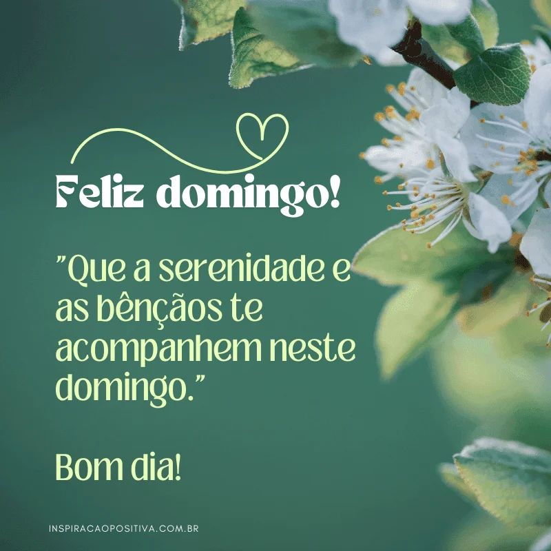 mensagem de bom dia para domingo reflexão