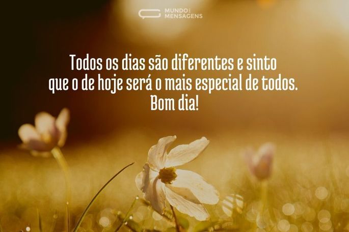 Bom Dia para Amigos: Mensagens que Fortalecem Laços