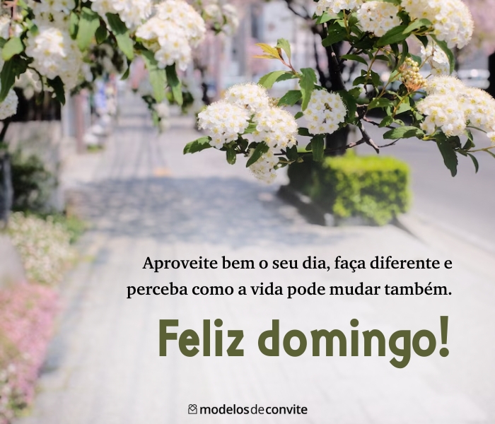 feliz domingo whatsapp