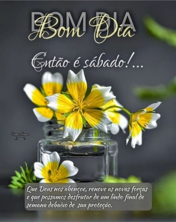 gif de bom dia sábado