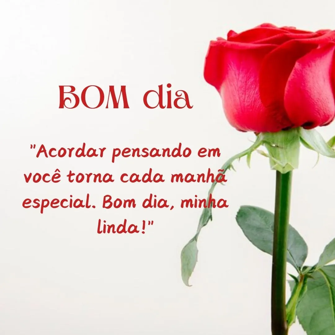 frase bom dia amor curta ou longa qual escolher