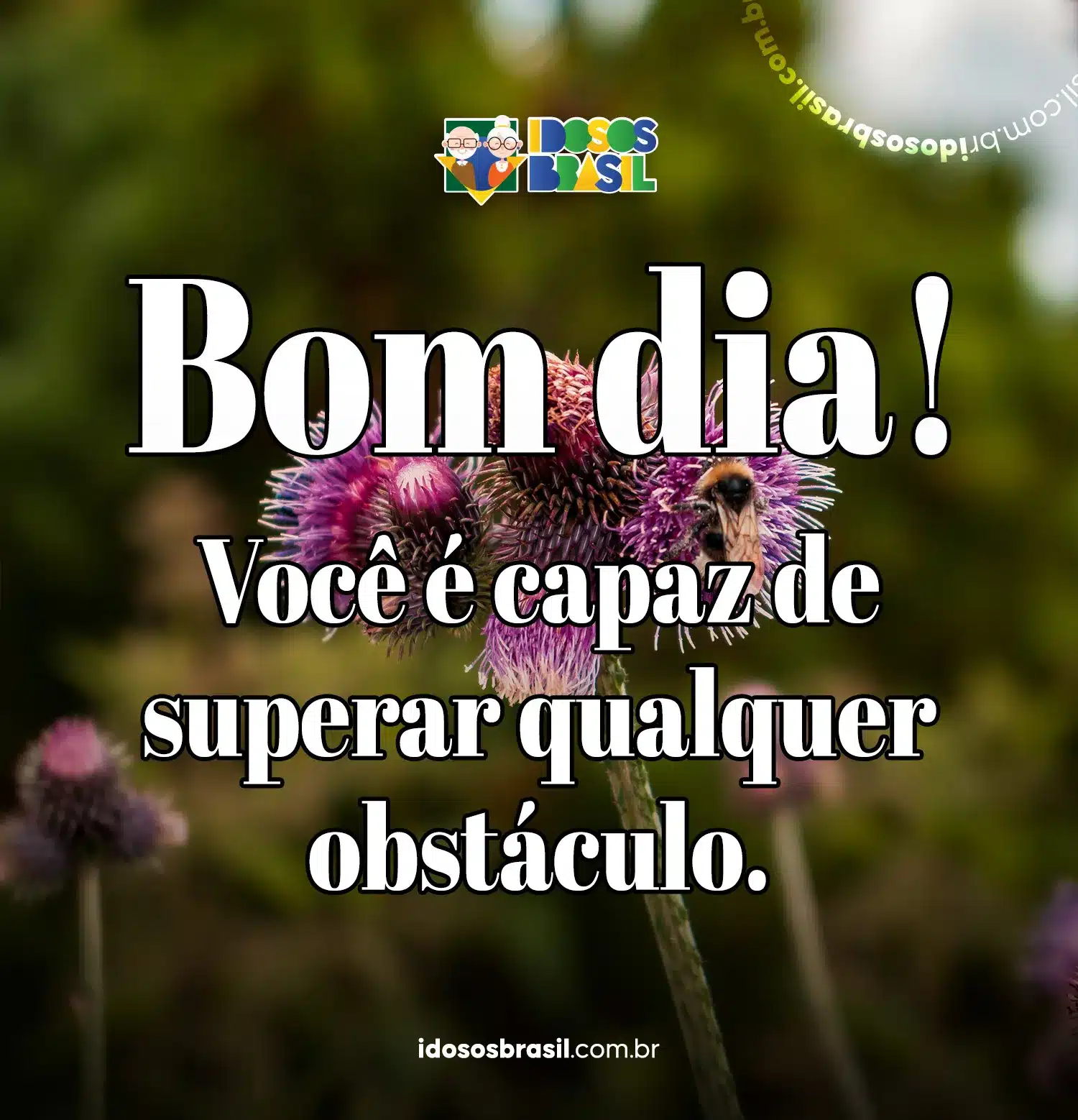 5 ideias de títulos:
1. As Melhores Frases de Bom Dia para Começar o Dia com Energia
2. Mensagens de Bom Dia para Inspirar Seu Amor e Seus Amigos
3. Frases de Bom Dia: Um Toque de Carinho para Cada Pessoa Especial
4. Como Escolher a Frase de Bom Dia Perfeita para Cada Situação
5. Bom Dia com Fé: Mensagens Religiosas para Fortalecer o Dia