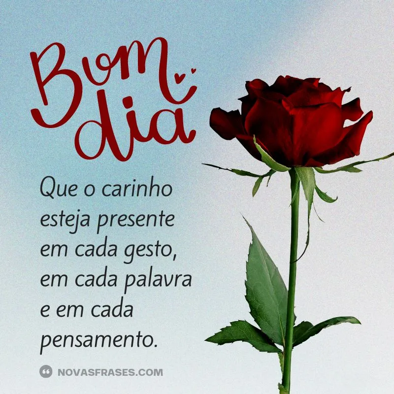 frases de bom dia com carinho