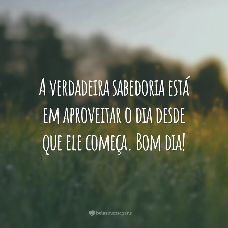 frases de bom dia reflexão pensador