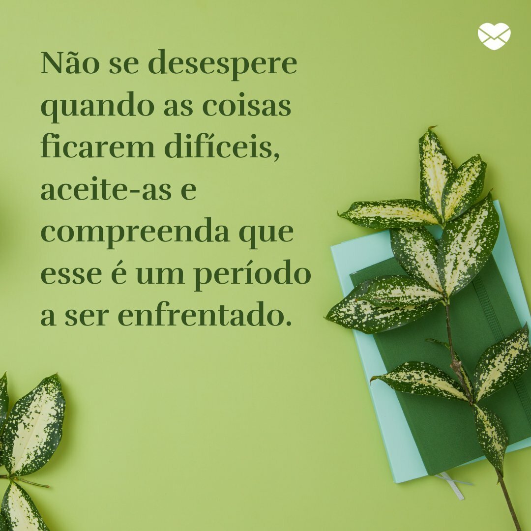 frases do dia para status