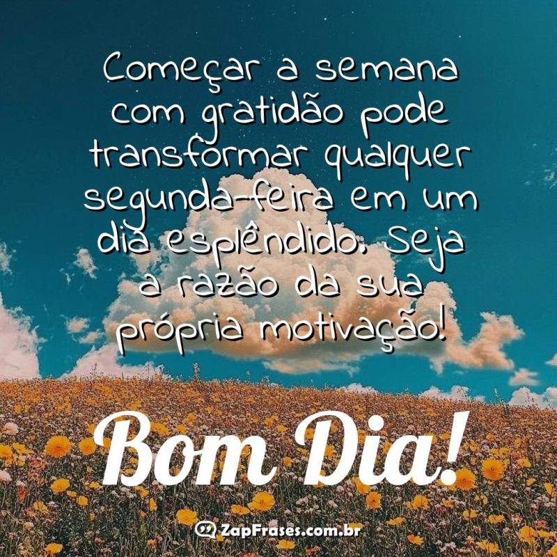 gratidão bom dia