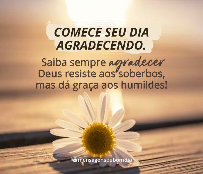 frase de bom dia de gratidão a deus