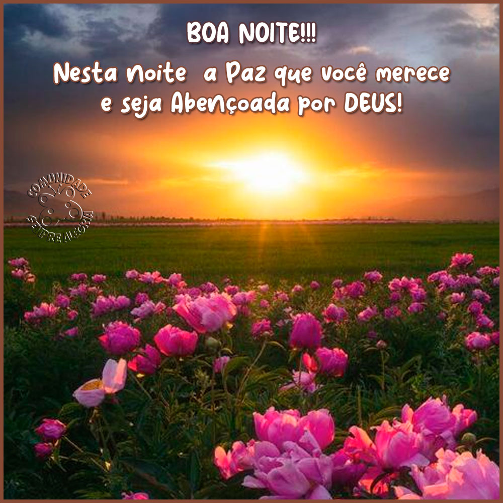 imagens boa noite jardim secreto com flores