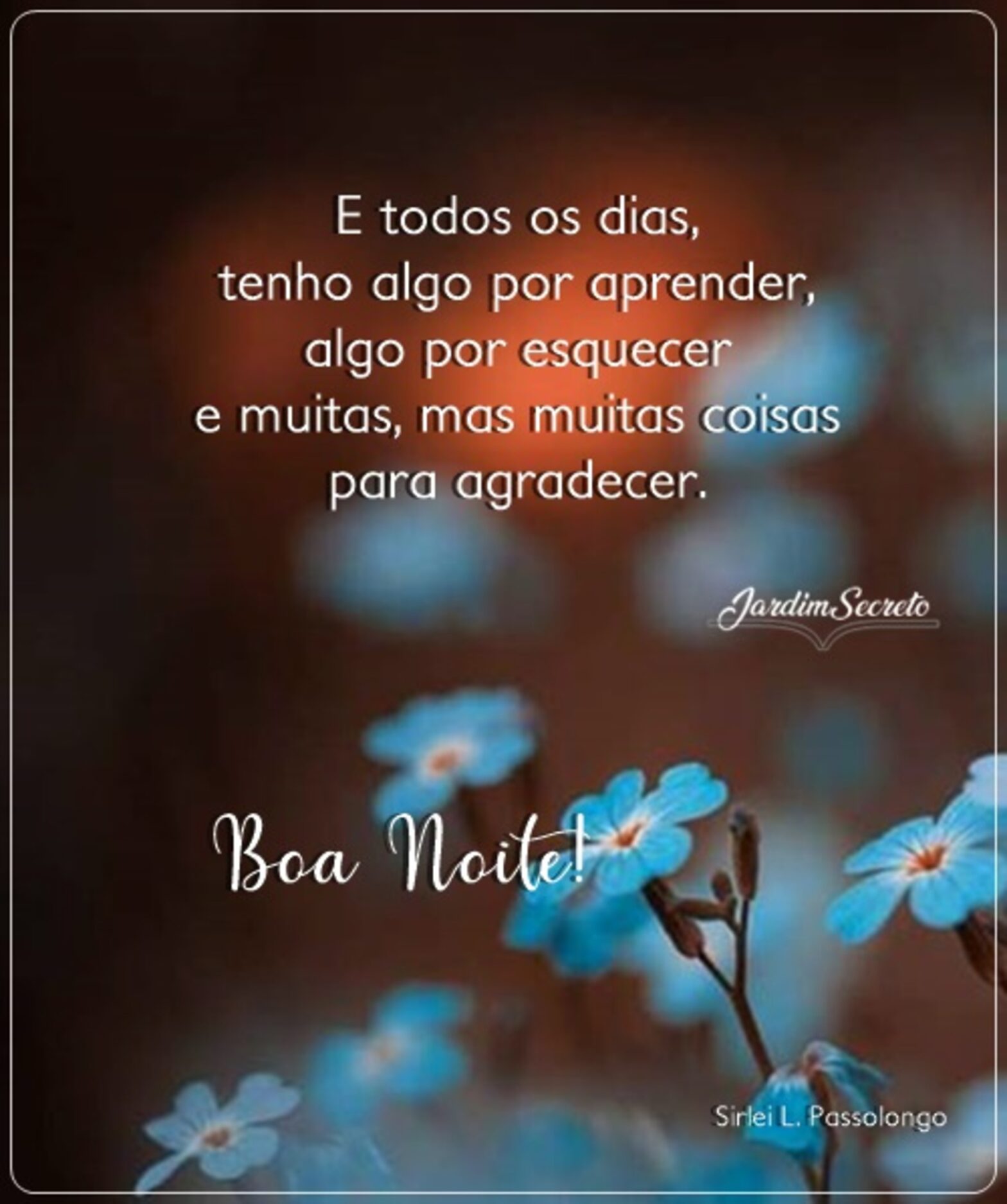 jardim secreto boa noite para whatsapp
