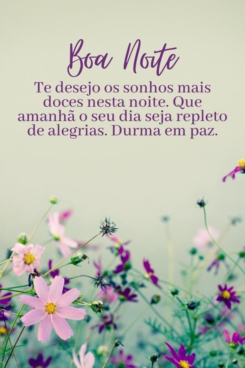 mensagem boa noite