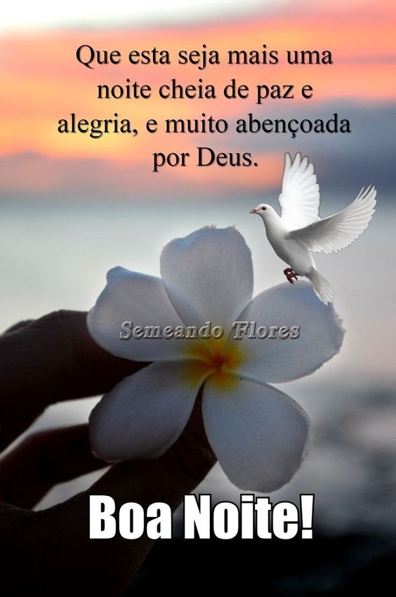 boa noite abençoada para família