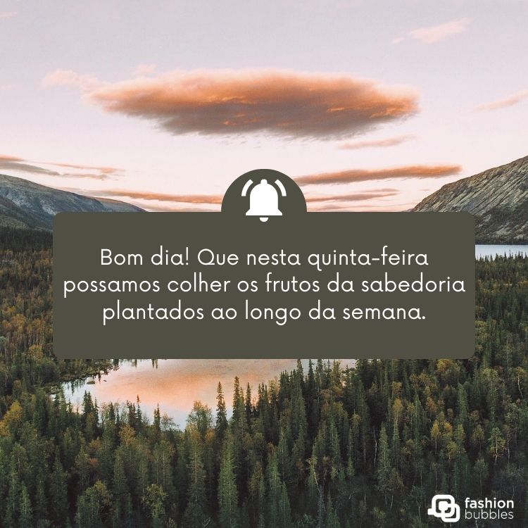 mensagem curta bom dia quinta-feira