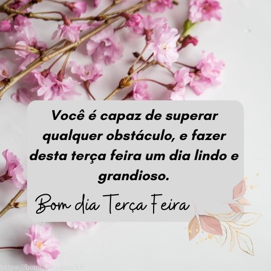 frases bíblicas bom dia terça-feira