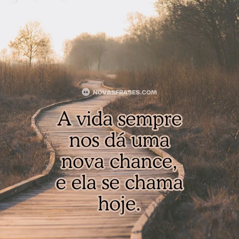 mensagem da vida de amor