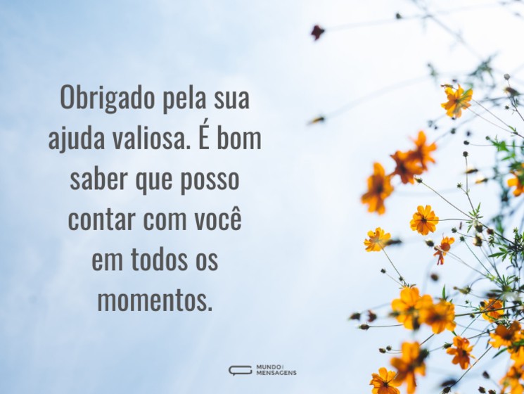 frases para agradecer apoio profissional