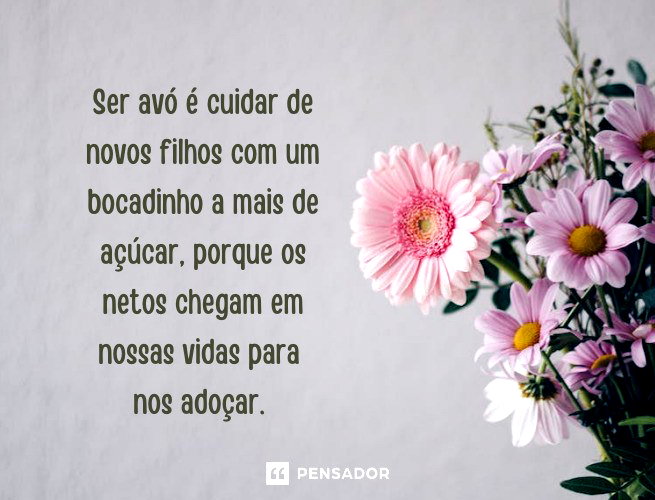 amor de avó para neto
