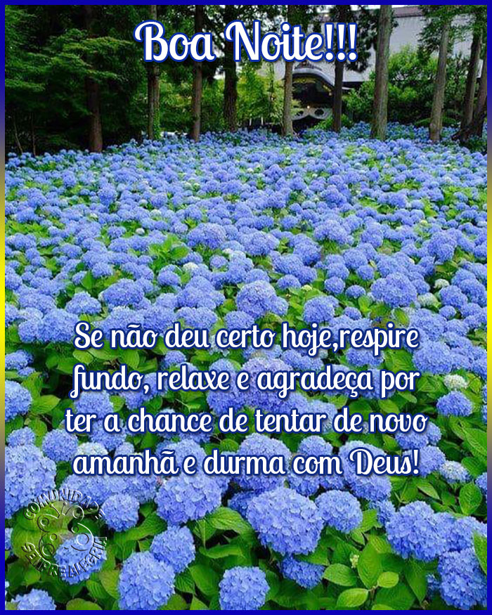 mensagem de boa noite com flores e paz