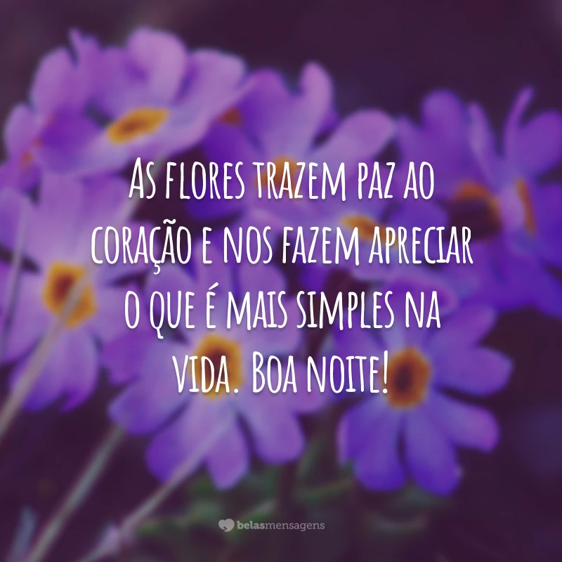 mensagem de boa noite com flores e oração