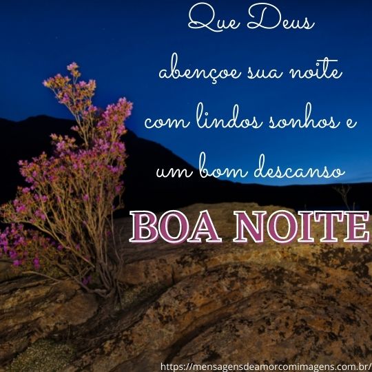 mensagem de boa noite com flores e borboletas