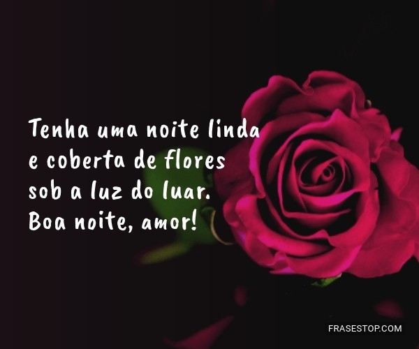 mensagem de boa noite com flores e versículos bíblicos