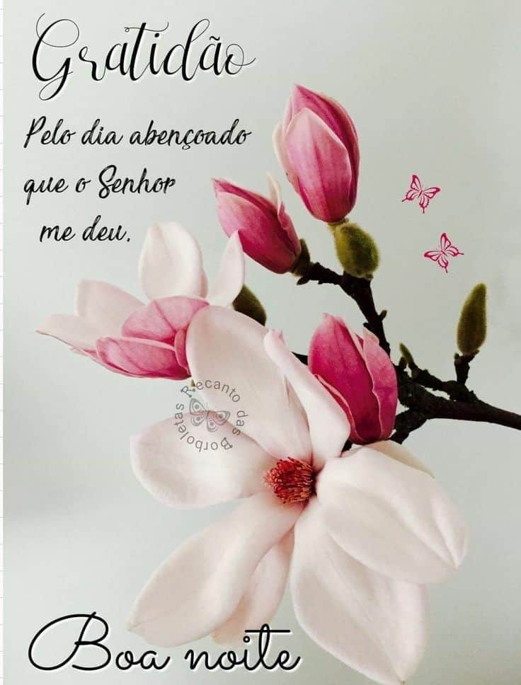 mensagens de boa noite com flores e paz
