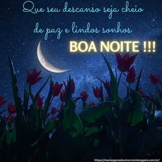 imagens de boa noite com flores para whatsapp