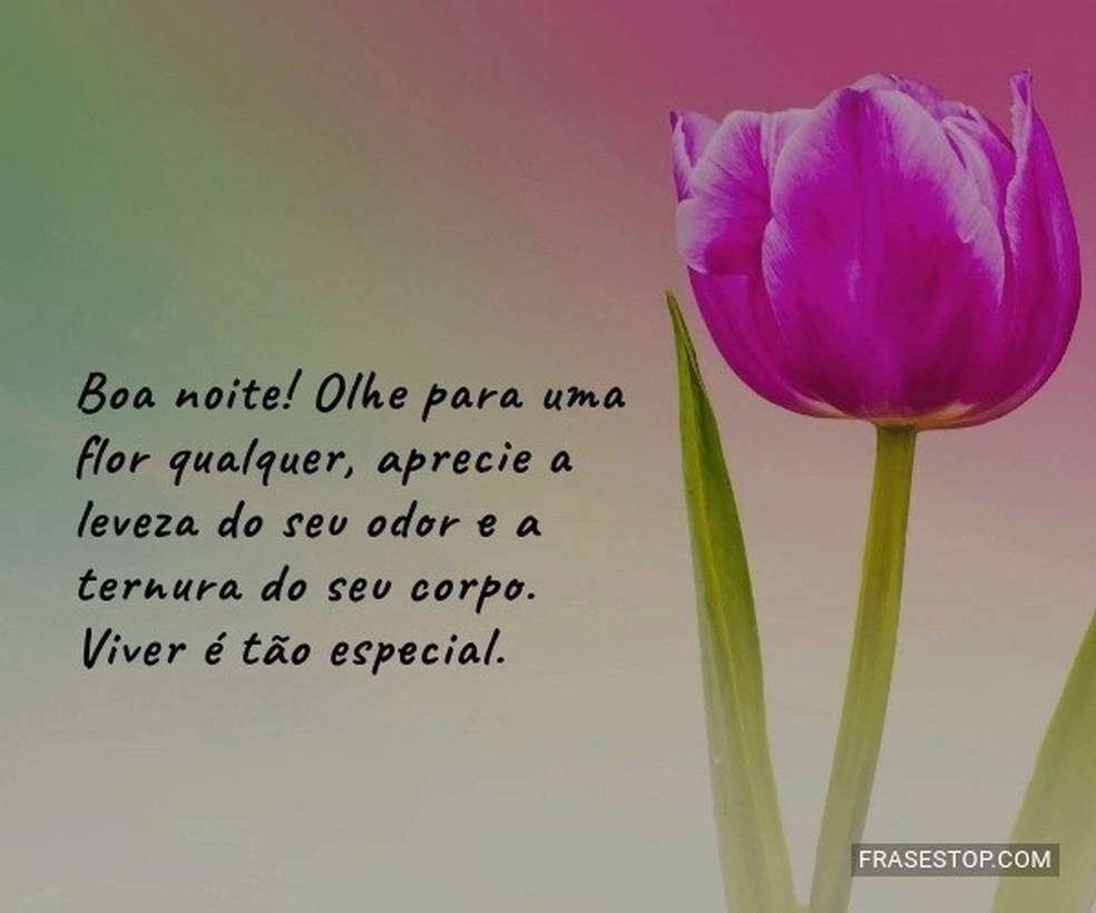 mensagens de boa noite com flores e gratidão